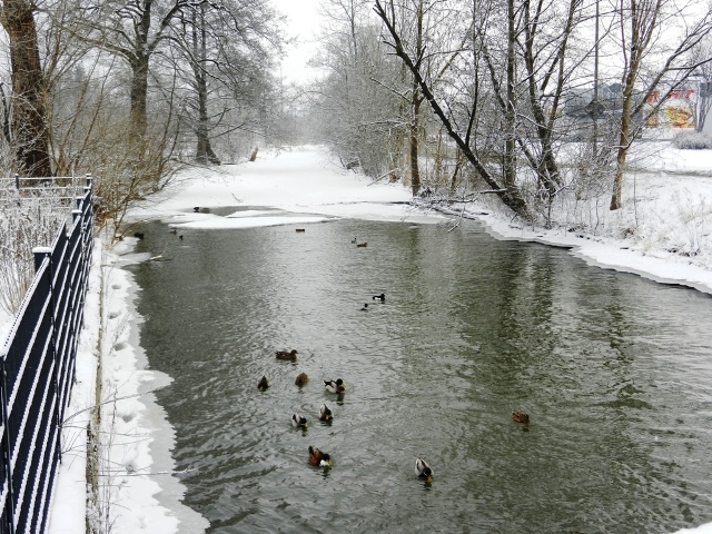 Winterimpressionen an der Beckmühle in Aichach.